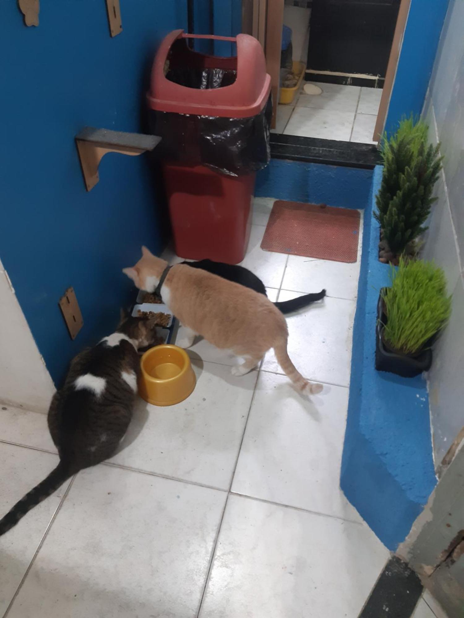 Sapucali Privative Hostel ริโอเดจาเนโร ภายนอก รูปภาพ